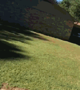 动图:人算不如天算