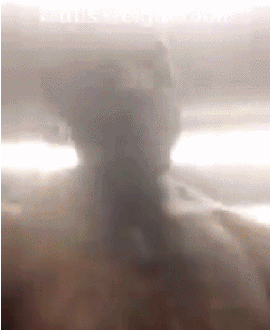 动图:詹姆斯训练