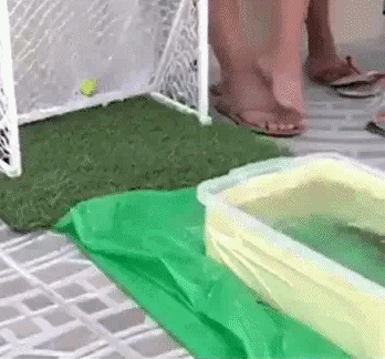 动图:再来一个鱼跃冲顶