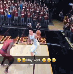 动图:汤普森庆祝姿势