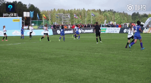 动图:全胜夺冠很威武