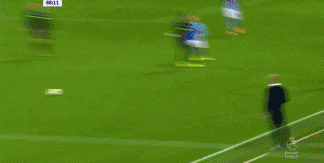 施耐德林被罚下