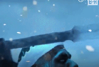 动图:LBJ一枪扎飞欧文