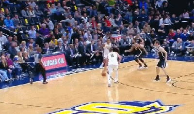 尼古拉-约基奇（掘金）