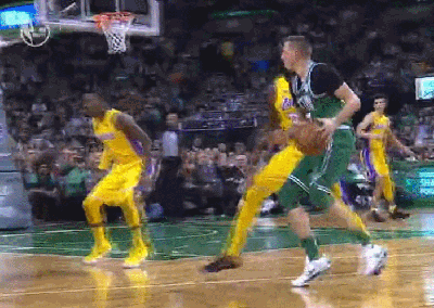 朱利叶斯-兰德尔（湖人）