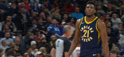 赛迪斯-杨 步行者