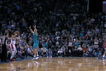 德怀特-霍华德（黄蜂）