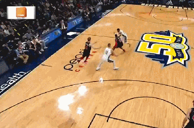 尼古拉-约基奇（掘金）