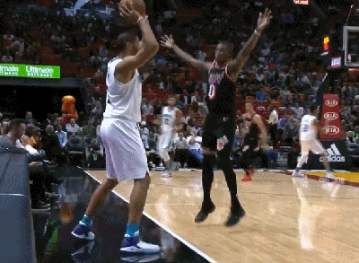 尼古拉斯-巴图姆（黄蜂）