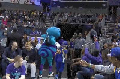 斯蒂芬-库里的迷弟（勇士）