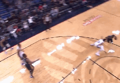 朱-霍乐迪（鹈鹕）