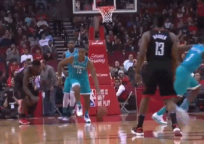 德怀特-霍华德（黄蜂）