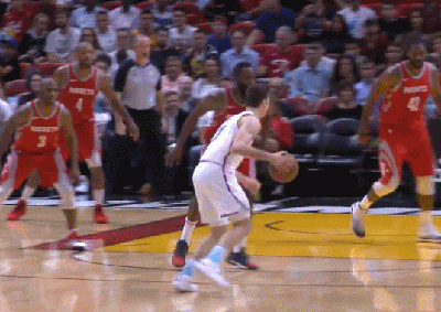 戈兰-德拉季奇（热火）