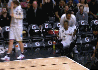 詹姆斯-约翰逊&约什-理查德森（热火）