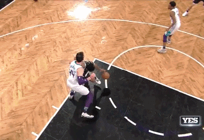 朗戴·霍利斯-杰弗森（篮网）