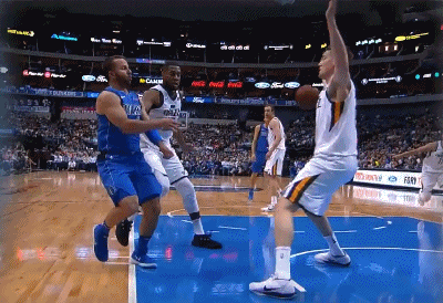 德怀特-鲍威尔（独行侠）