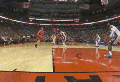 雅各布-珀尔特尔（猛龙）