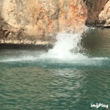 倒放来欣赏一遍詹皇的纵身一跃~