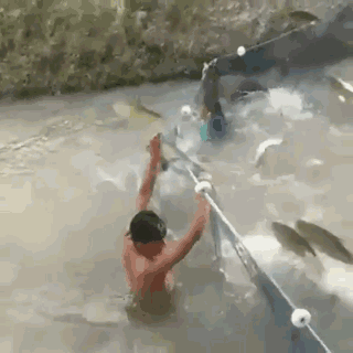 下半场的真实情况