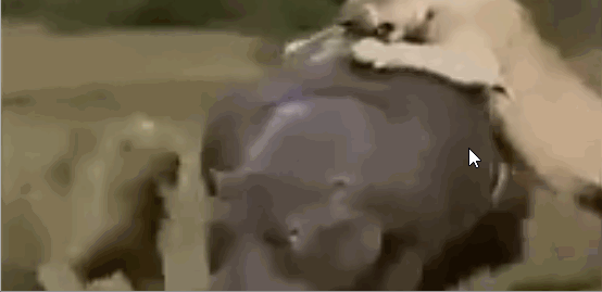 卢卡库vs巴西后防线