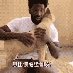 恩比德6岁屠狮续集之大帝被咬了