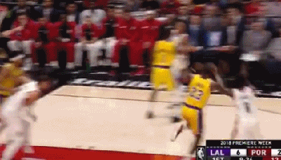 詹姆斯湖人生涯首分