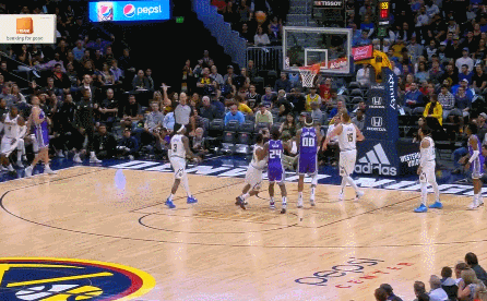 约基奇&穆雷（掘金）