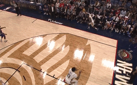 朱-霍乐迪（鹈鹕）