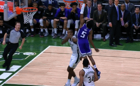 扬尼斯-阿德托昆博（雄鹿）